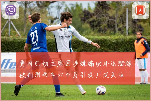 费内巴切主席因涉嫌煽动非法赌球被判刑两年六个月引发广泛关注