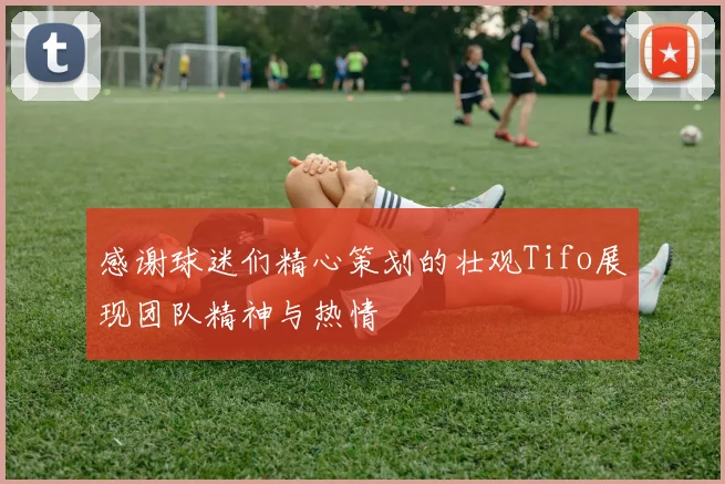 感谢球迷们精心策划的壮观Tifo展现团队精神与热情